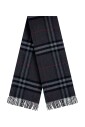 echarpe-a-carreaux-pour-un-look-elegant