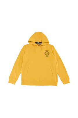 italian-air-force-hoodie-with-am-embroidery