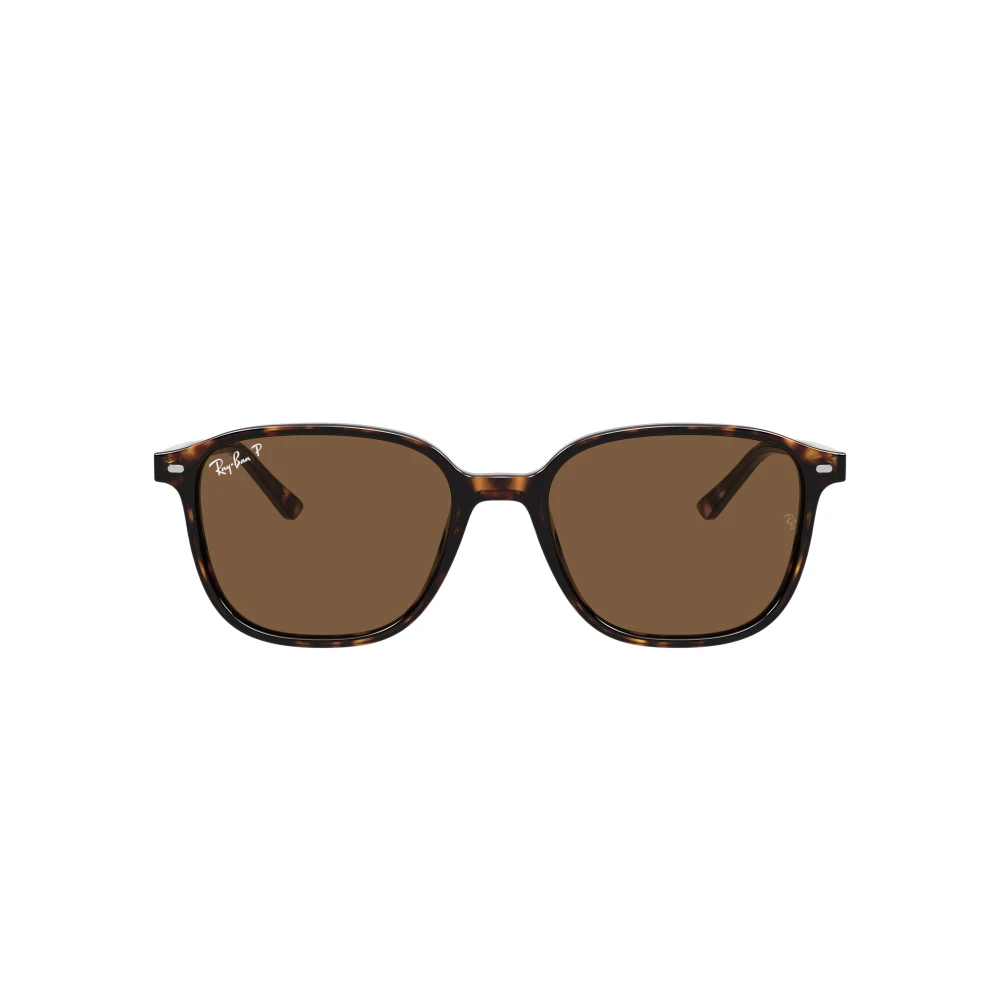 Ray-Ban Leonard polariserad Brun Dam