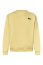 pull-jaune