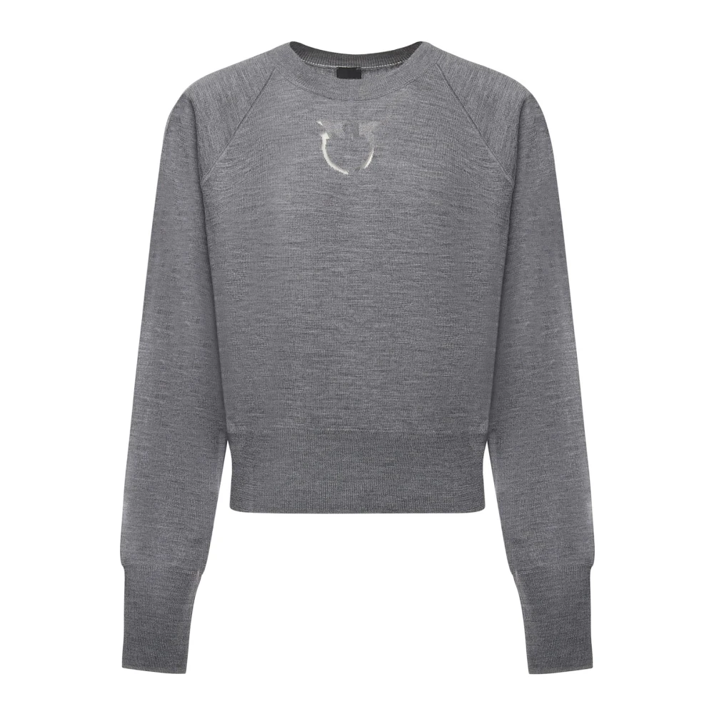 Pinko Women's Gray Round-Neck Knitwear