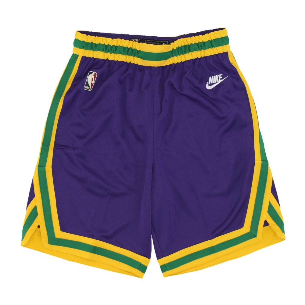 Nike NBA Hardwood Classics 23 Swingman Shorts Purple Heren