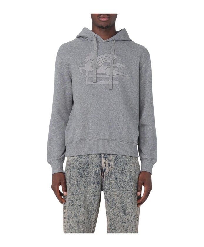 pegasus-logo-hoodie
