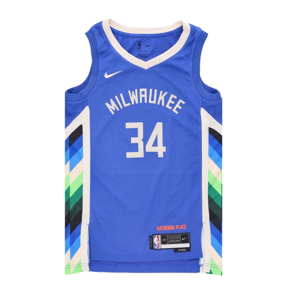 Nike Men's Blue Training, L, Giannis Antetokounmpo City Edition Basketball Tank Top