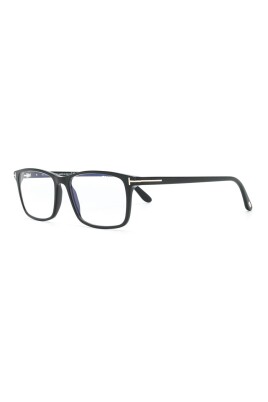 ft5584b-001-optical-frame