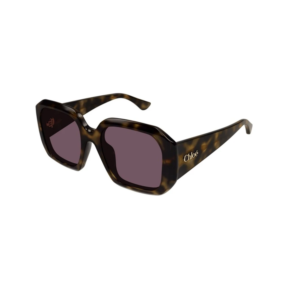 Chloé Unisex Brown Sunglasses, 54 Mm, Authentic Glasses With Top-Notch Service