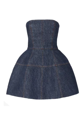 FF Denim Bustier Dress