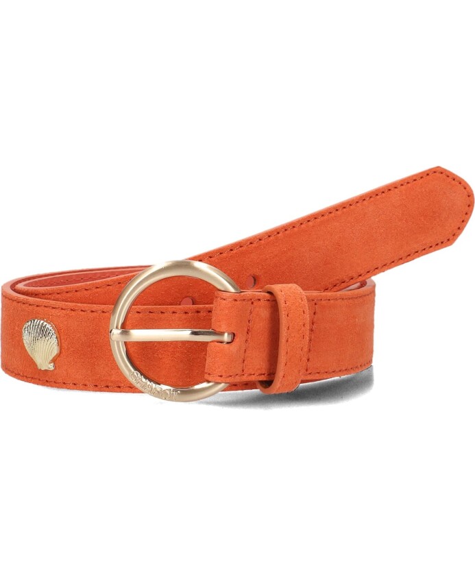 riem-met-studs-en-schelpen