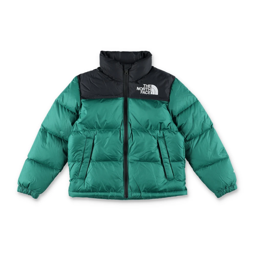 The North Face Retro Nuptse Donsjack Groen Zwart Green Heren