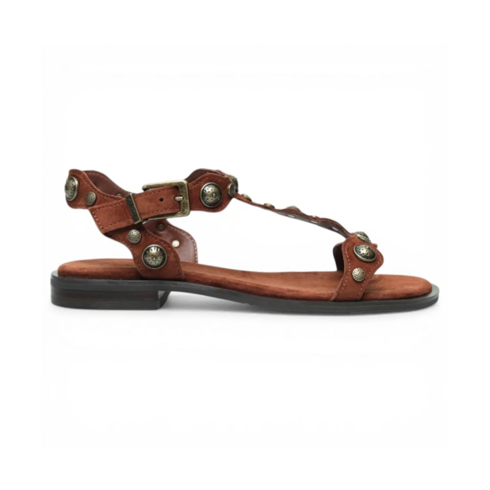 Ash Brown Flat Sandals, Female, 5 Uk, Phanny Flat Sandal