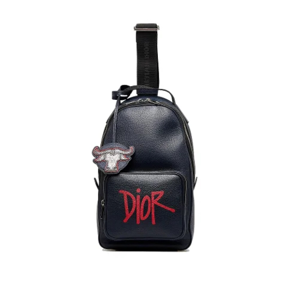 Dior bag online heren