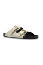 slides-billie