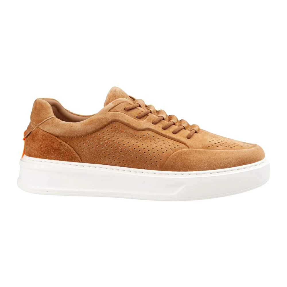 Barracuda Phoenix Slip-on Sneaker Heren Schoenen Bruin