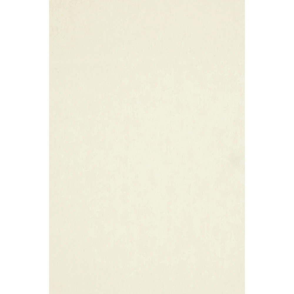 Max Mara Stijlvolle Sjaals & Shawls Collectie White Dames