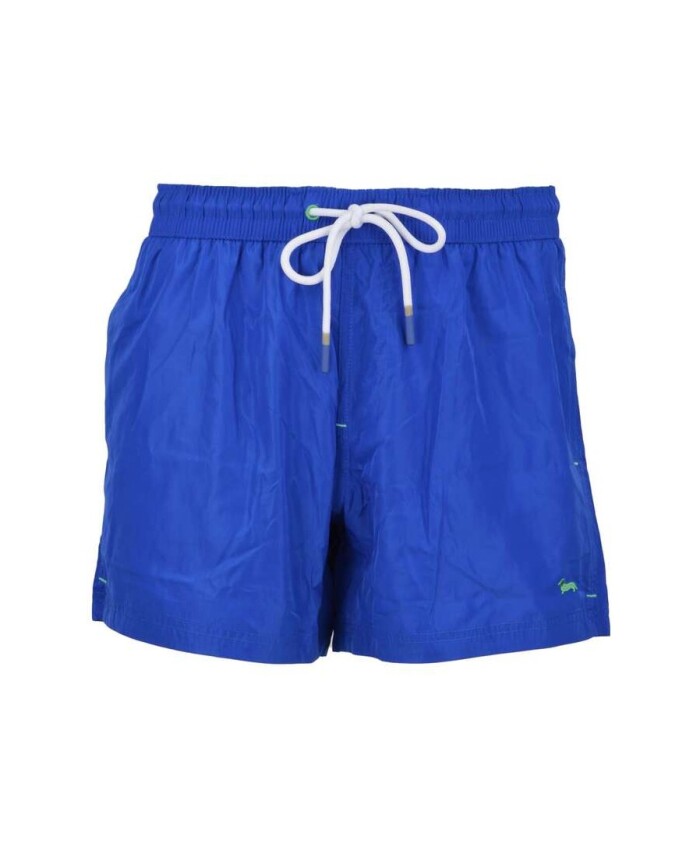 boxer-mare