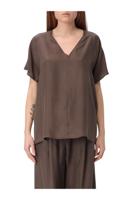elegant-beige-v-neck-blouse