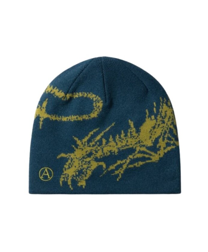 skull-beanie-one-size