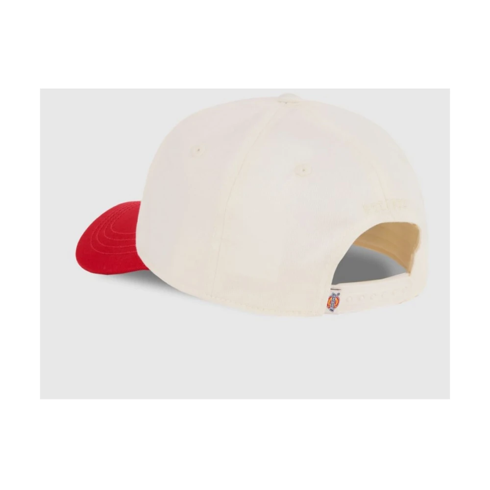 Dickies Hardwick 2 Tone Petten White Heren