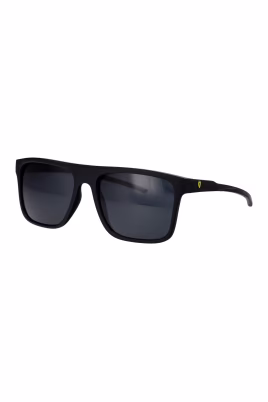 fz6006-sunglasses