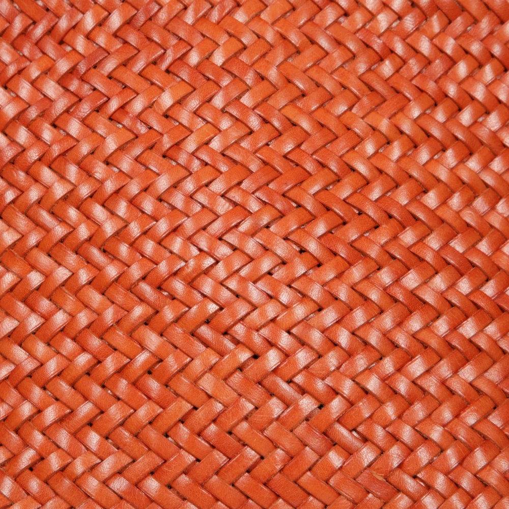 Dragon Diffusion Stijlvolle Leren Tas Orange Dames