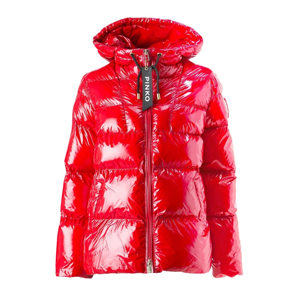 Pinko winter jacket online