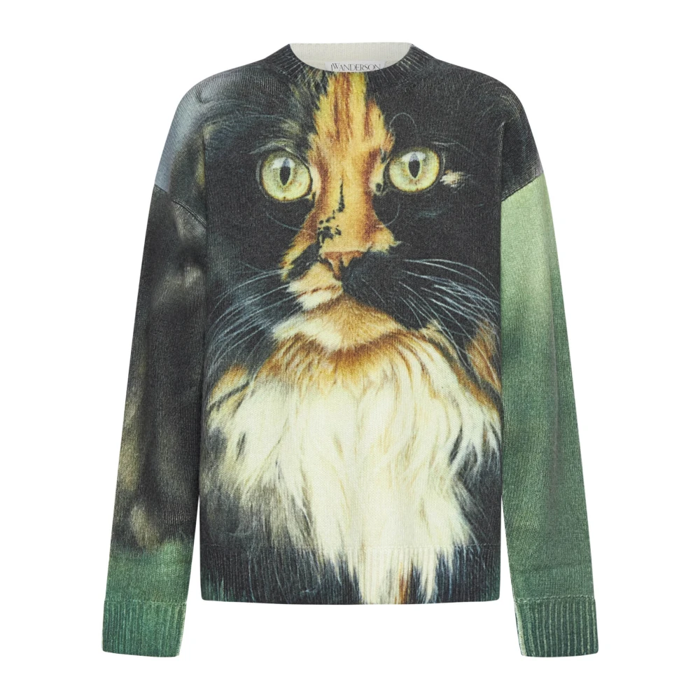 JW Anderson Stijlvolle Sweaters Collectie Green Heren