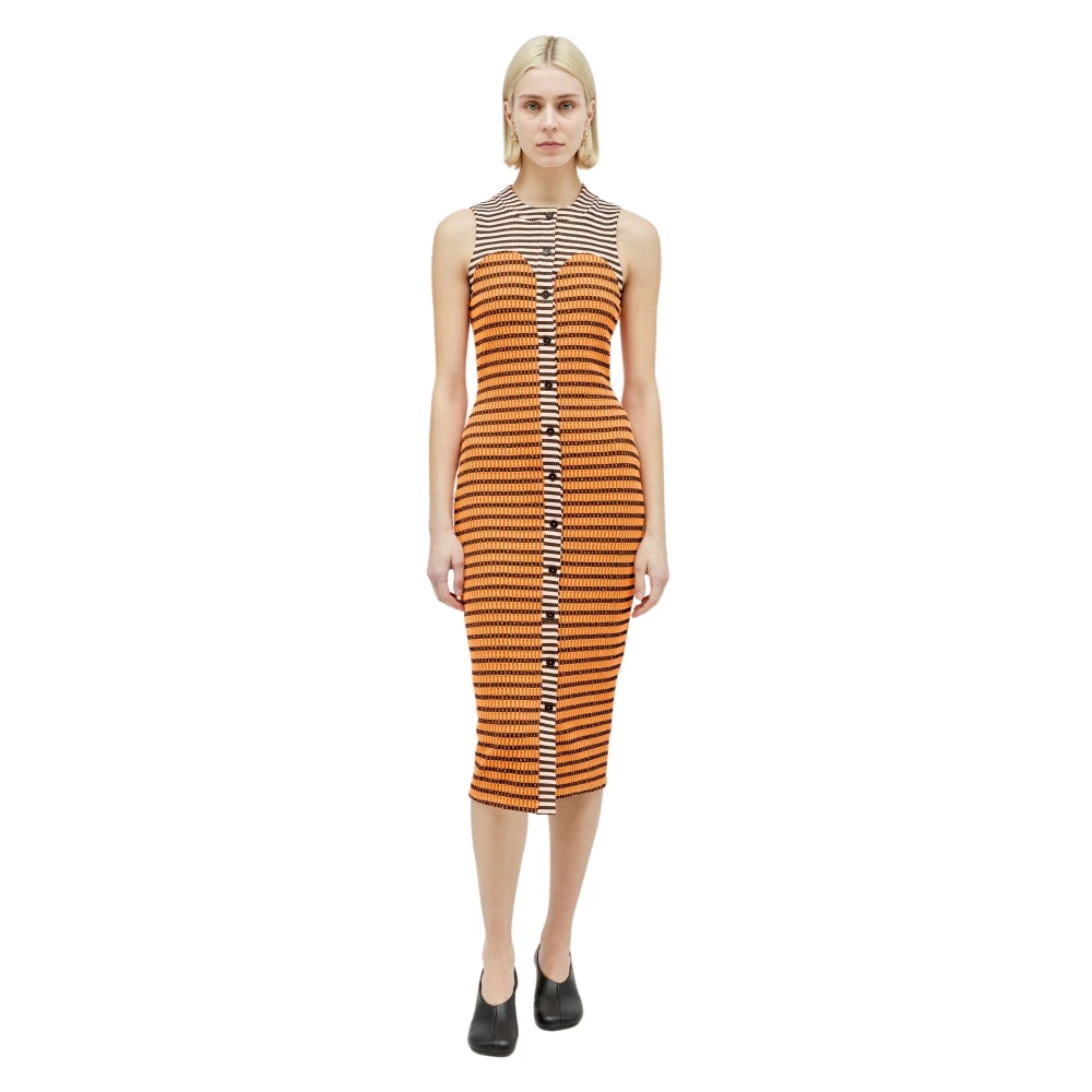 Reward If Found Gestreepte Geribbelde Jurk Multicolor Dames