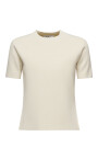 t-shirt-segale