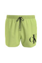 sea-clothing-swimwear-drawstring-short-lime-green