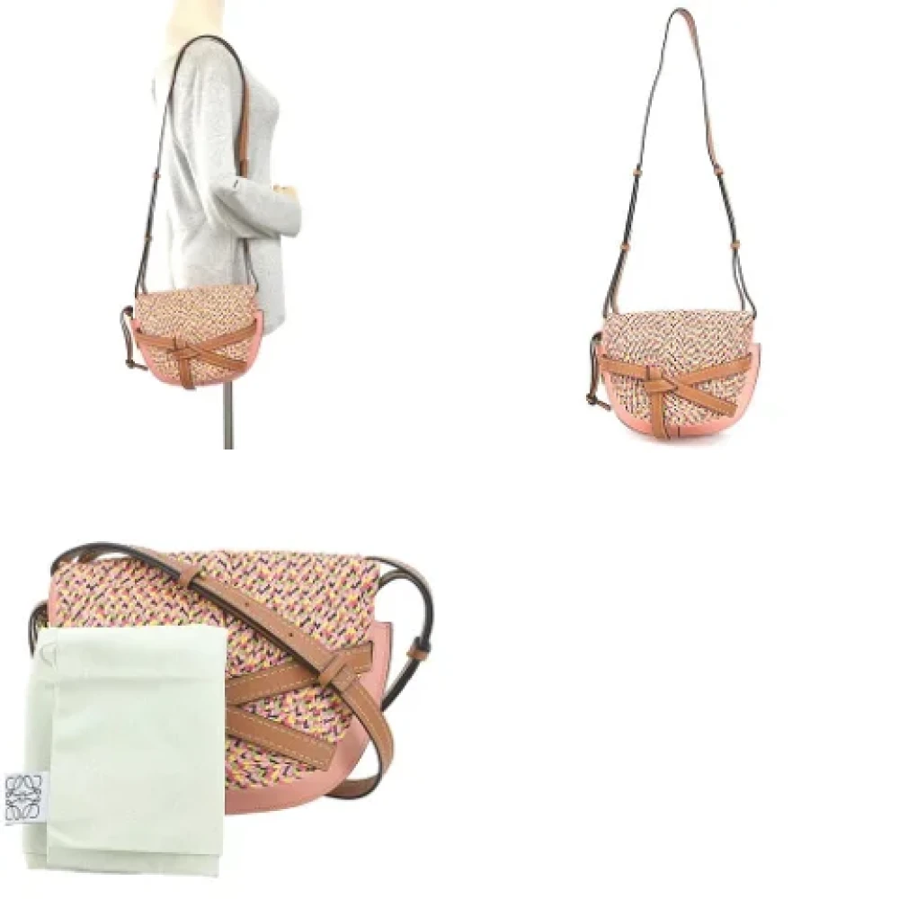 Loewe Pre-owned Leather crossbody-bags Multicolor Dames