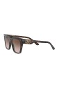 print-family-sunglasses-dark-havana-brown