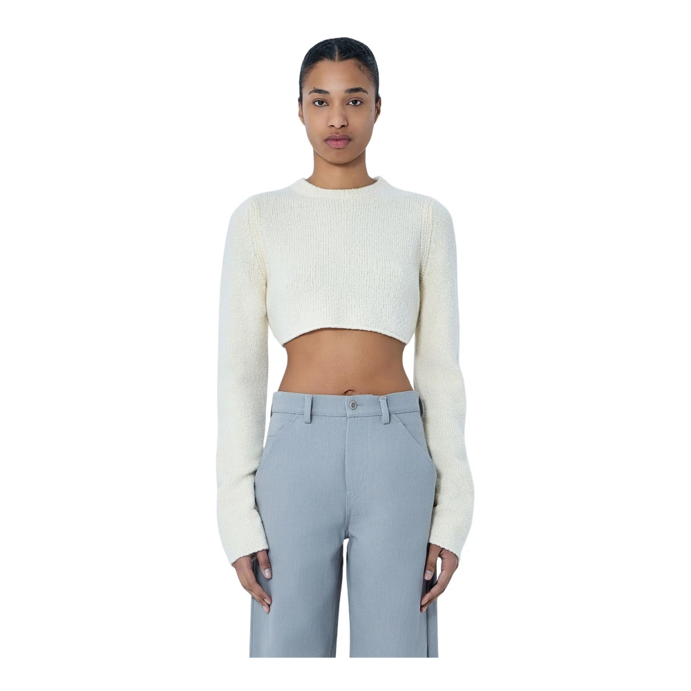 Rier Beige Round-Neck Knitwear, Female, L, Cropped Knit Jumper