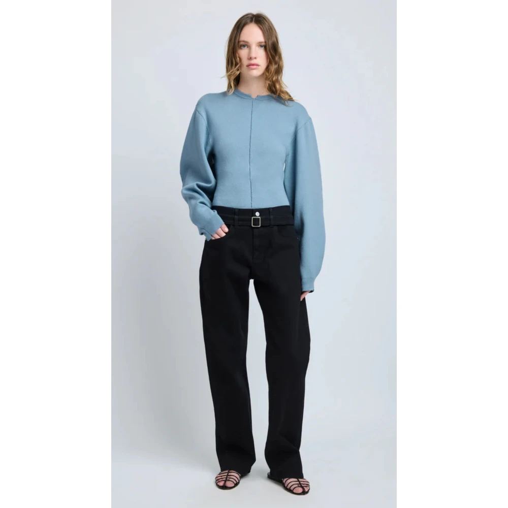 Proenza Schouler Blauwe Pofmouwtrui Blue Dames