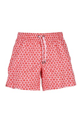 boxer-mare