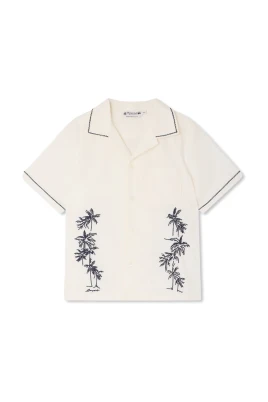 Steve Shirt