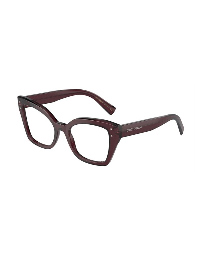 violet-frame-sunglasses-dg3386-3045