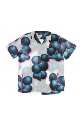 kort-aermet-bluse