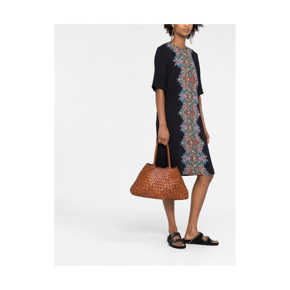 Dragon Diffusion Handbags Brown Dames