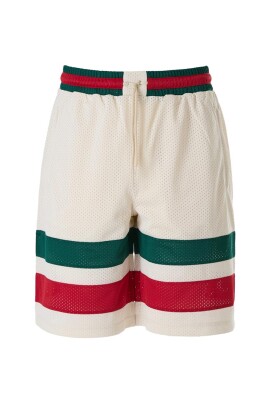 elegant-logo-colorblock-mesh-shorts