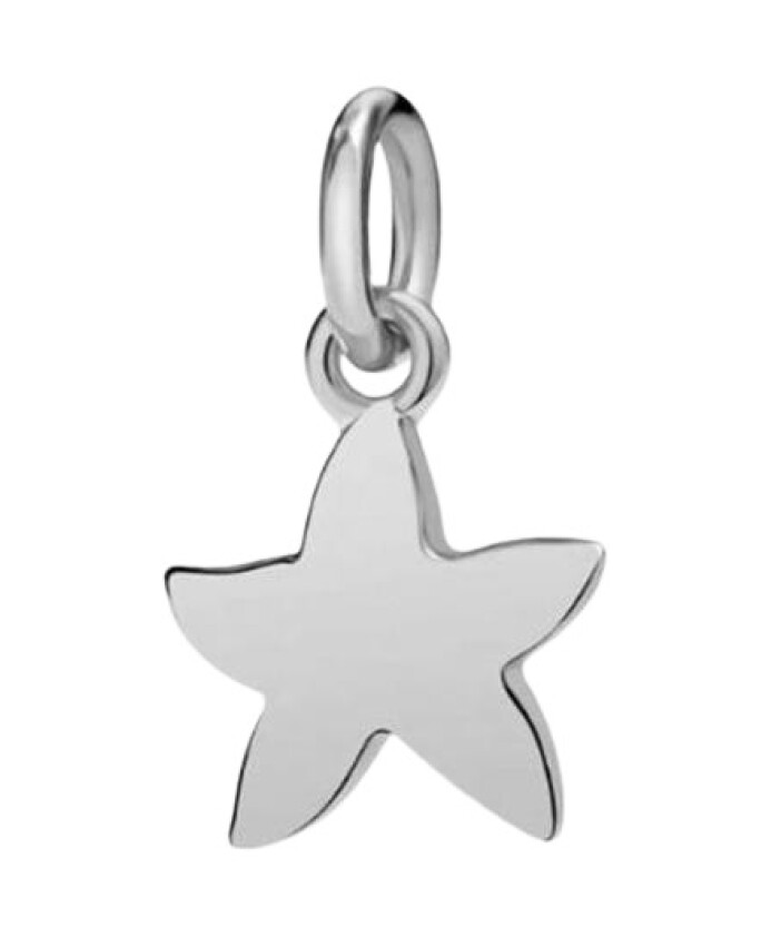 pendentif-charme-etoile-elegant