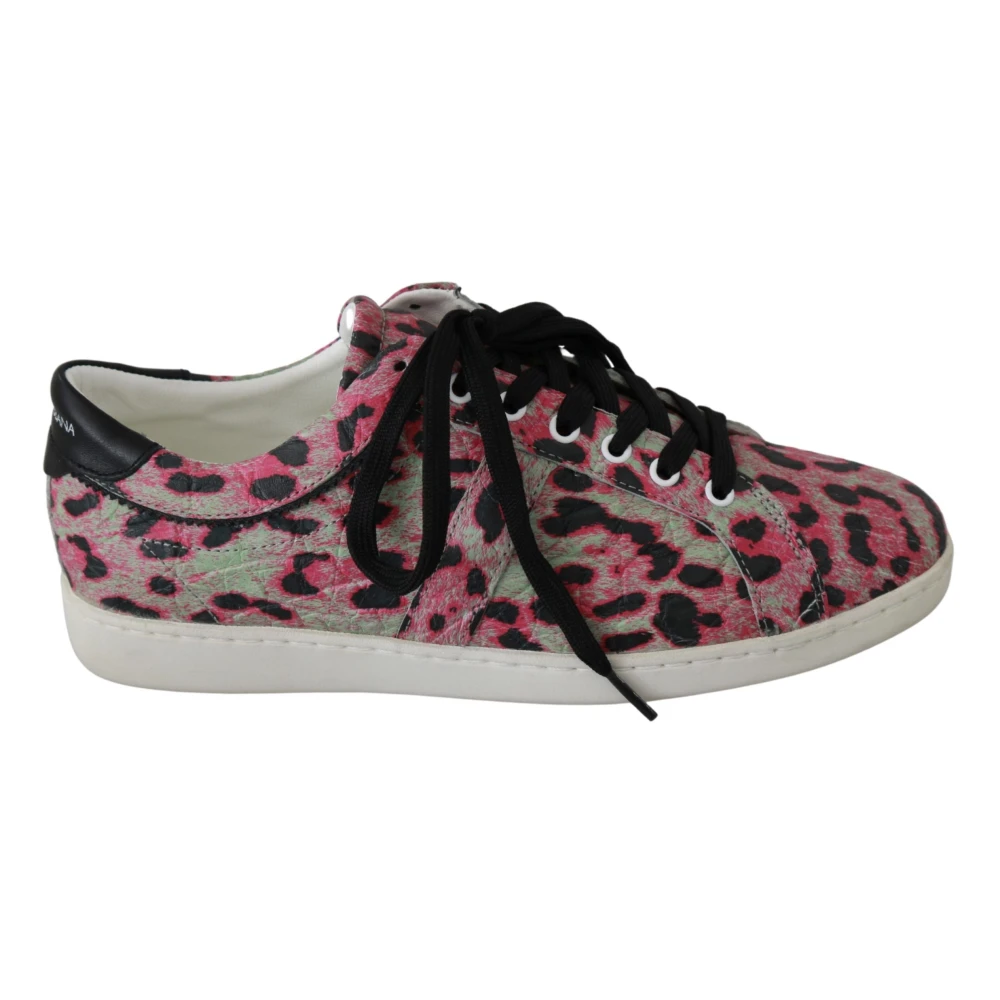 Dolce & Gabbana , Sneakers, Female, Multicolor, 9 Uk, Leopard Print Training Leather Flat Trainers