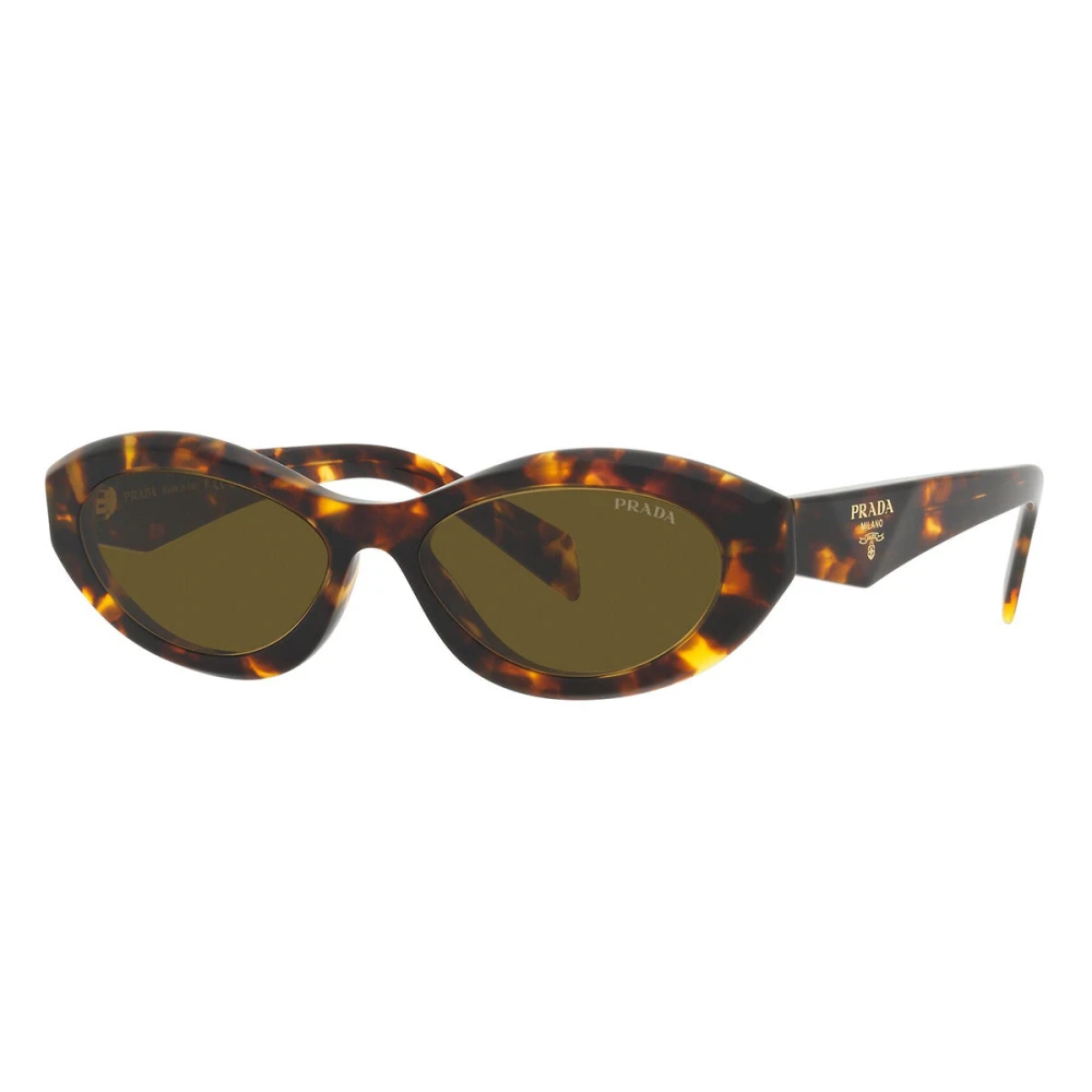 Prada Unisex Bruin Pr 26Zs Zonnebril