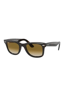 Klassiska Wayfarer solglasögon RB2140