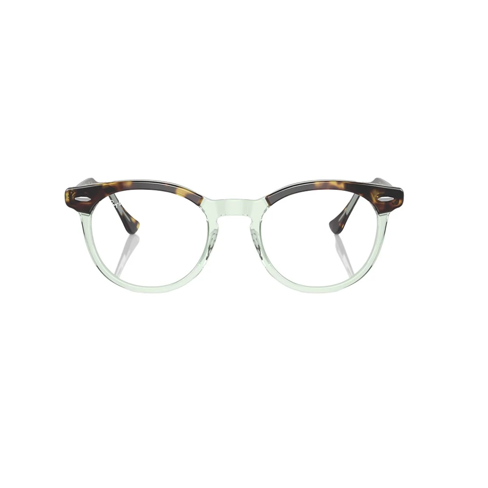 Ray-Ban Revolutionaire Brillen Brown Heren