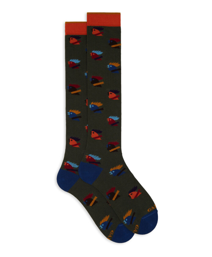 chaussettes-longues-en-coton-vert-pour-hommes-avec-motif-de-poule-multicolore