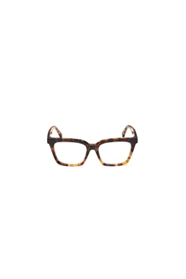 Optical Frame with Clip-On