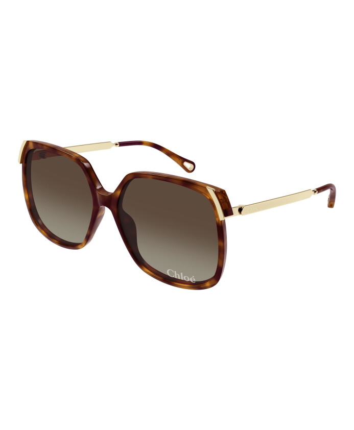 lunettes-de-soleil