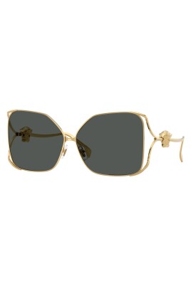 ve2288-sunglasses