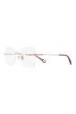 ch0136o-002-optical-frame