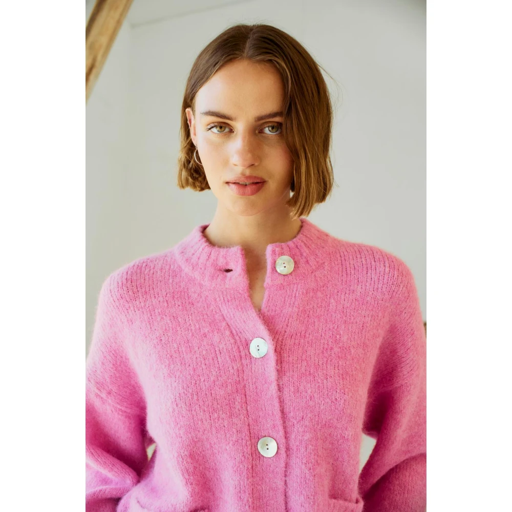 Freequent Stijlvolle Vest Fqlouisa Pink Dames
